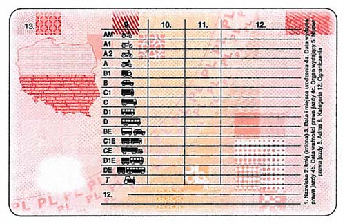 Polnischer Führerschein